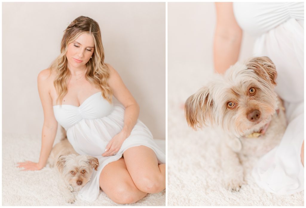 in studio maternity session with mom and dog